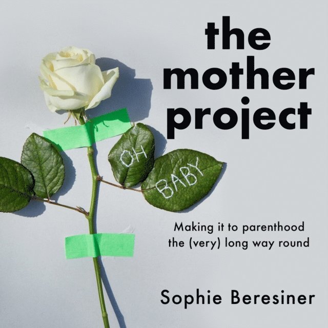 Sophie Beresiner - Mother Project, Ljudbok