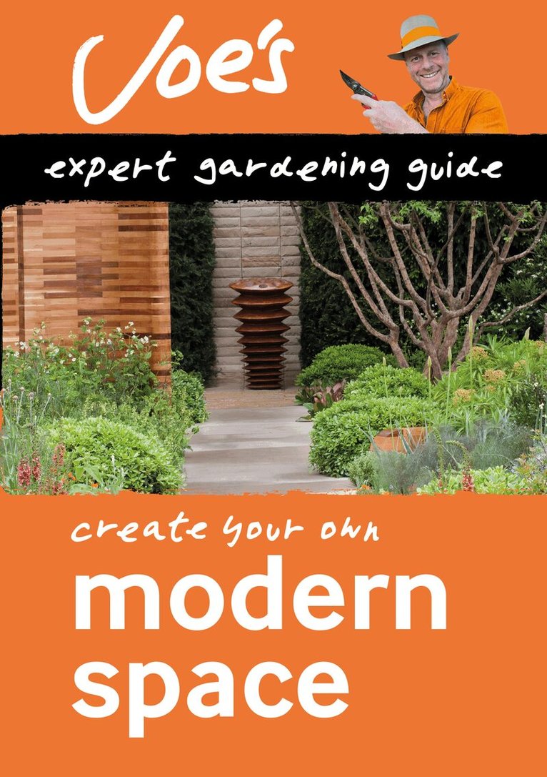 Joe Swift, Collins Books - Modern Space, E-bok