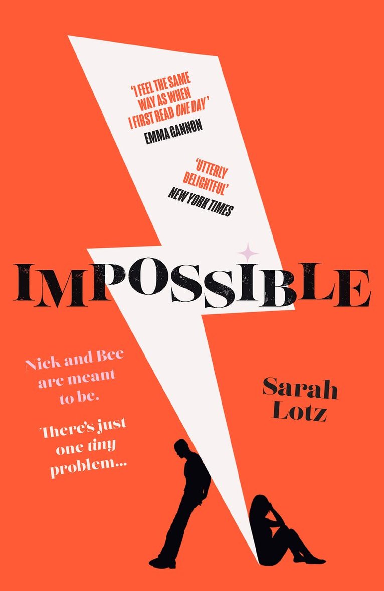 Sarah Lotz - Impossible, E-bok