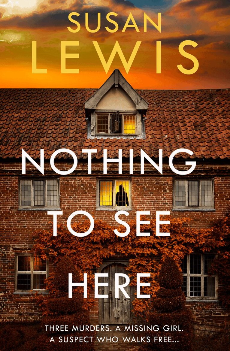 Susan Lewis - Nothing to See Here, E-bok