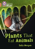 Plants that Eat Animals