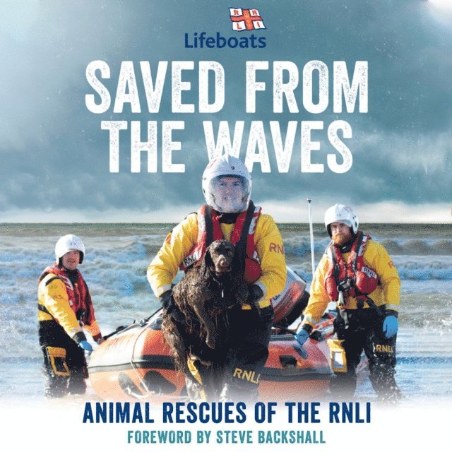 Steve Backshall - Saved from the Waves, Ljudbok