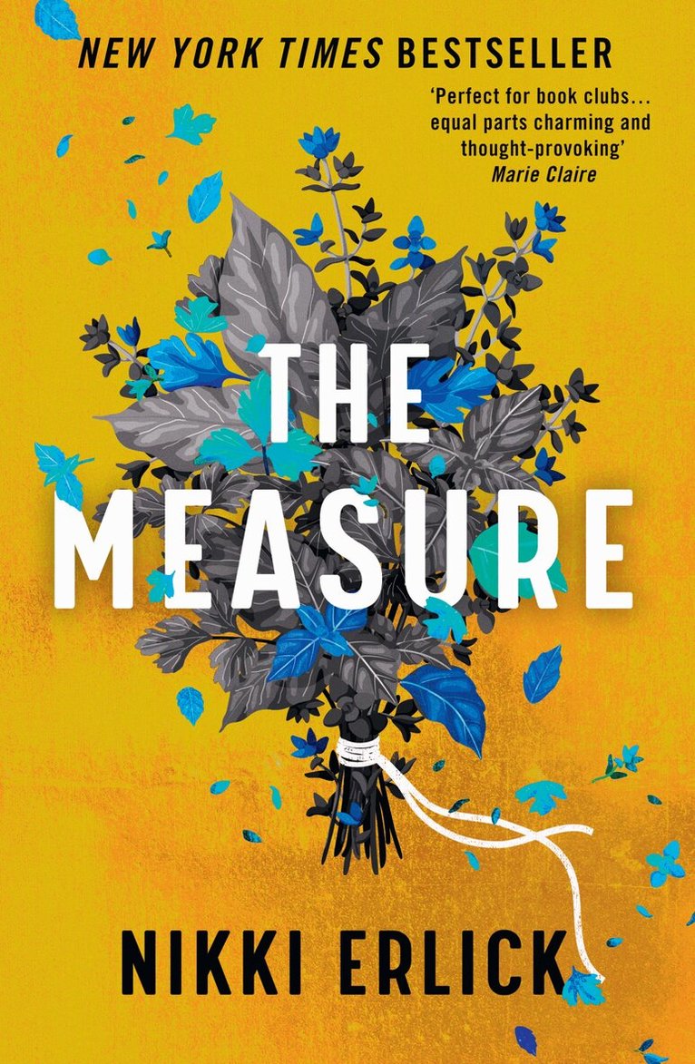 Nikki Erlick - Measure, E-bok