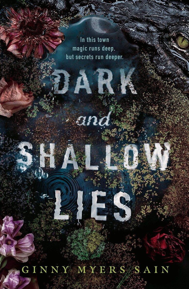 Ginny Myers Sain - Dark and Shallow Lies, E-bok
