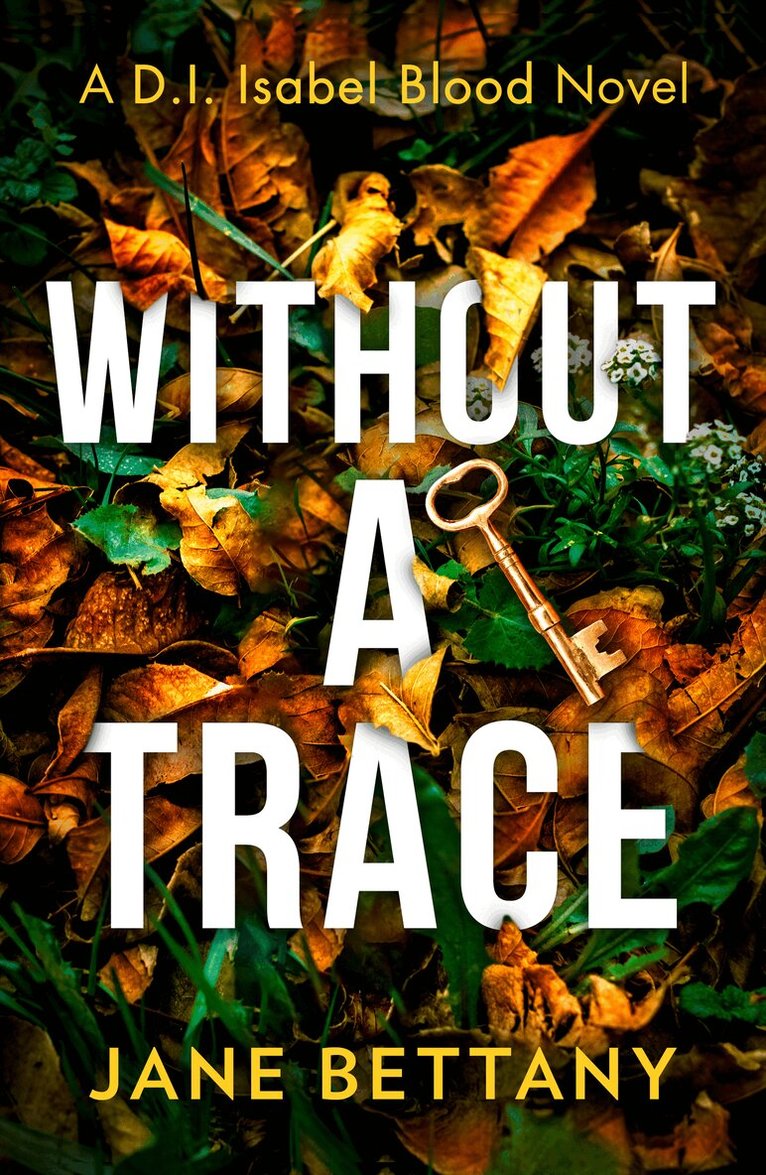 Jane Bettany - Without a Trace, E-bok