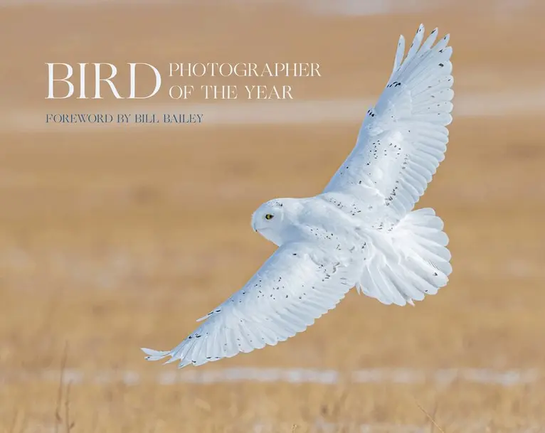 Bird Photographer of the Year - Bird Photographer of the Year, Inbunden. Tillgänglighet: Lägg i varukorg