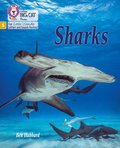 Sharks