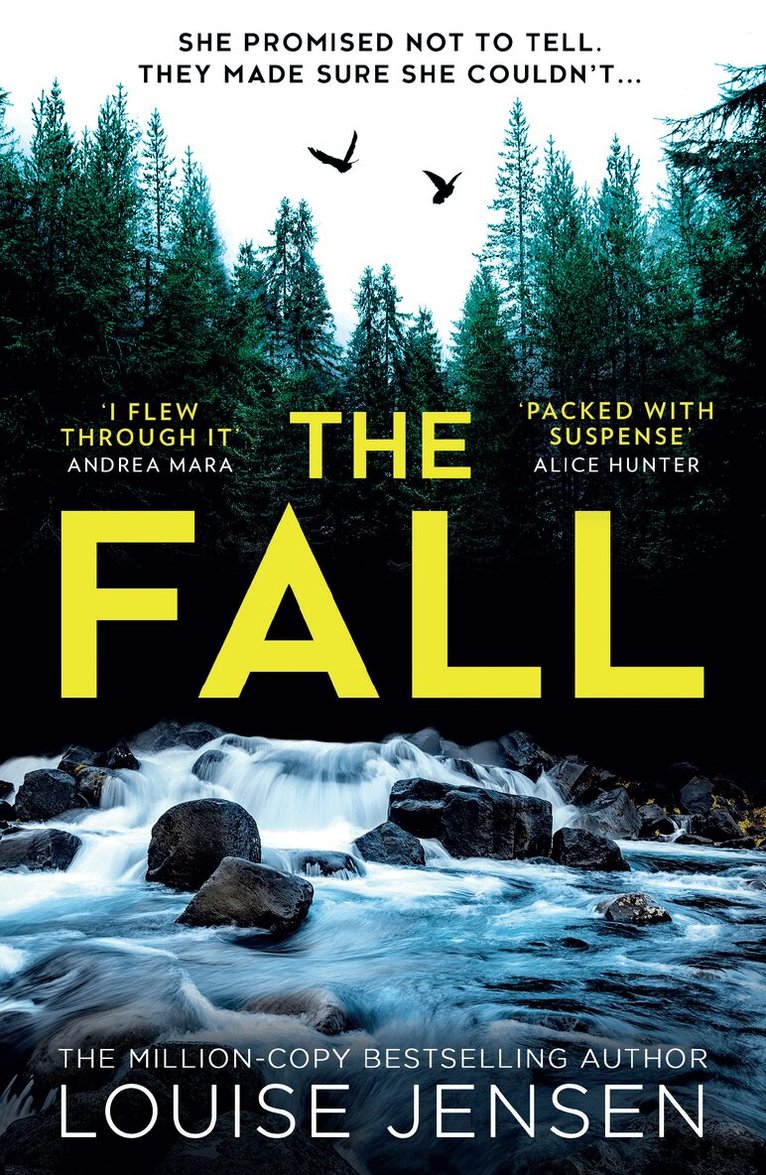 Louise Jensen - Fall, E-bok