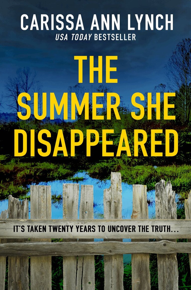 Carissa Ann Lynch - Summer She Disappeared, E-bok