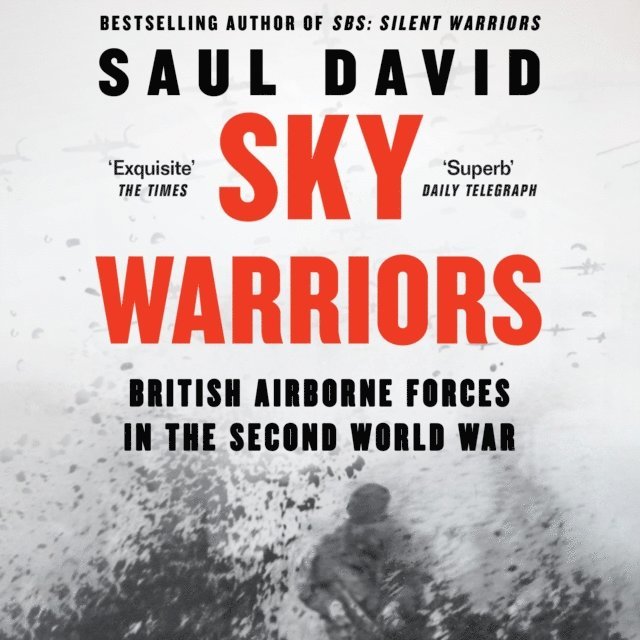 Saul David - Sky Warriors, Ljudbok