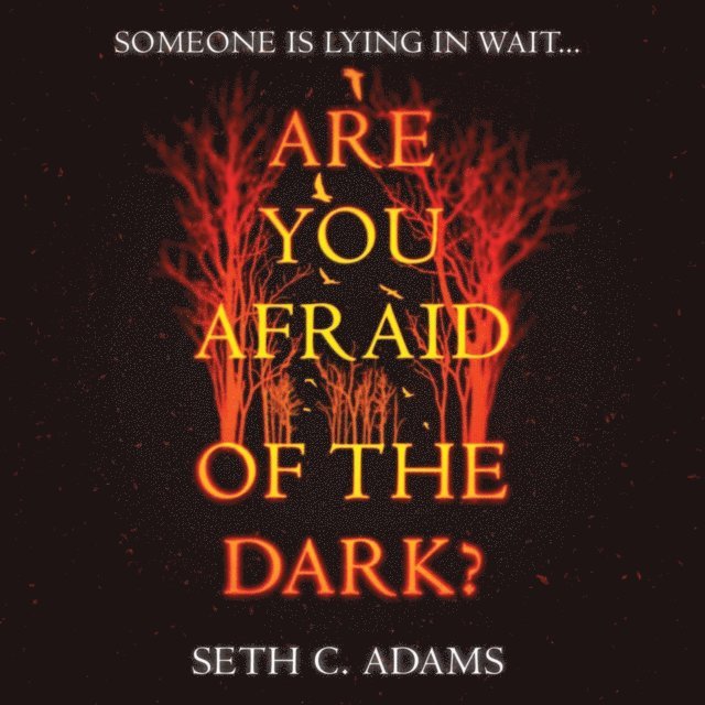Seth C. Adams - Are You Afraid of the Dark?, Ljudbok