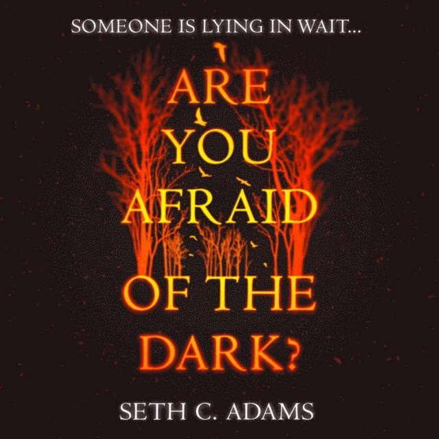 Seth C. Adams - Are You Afraid of the Dark?, Ljudbok