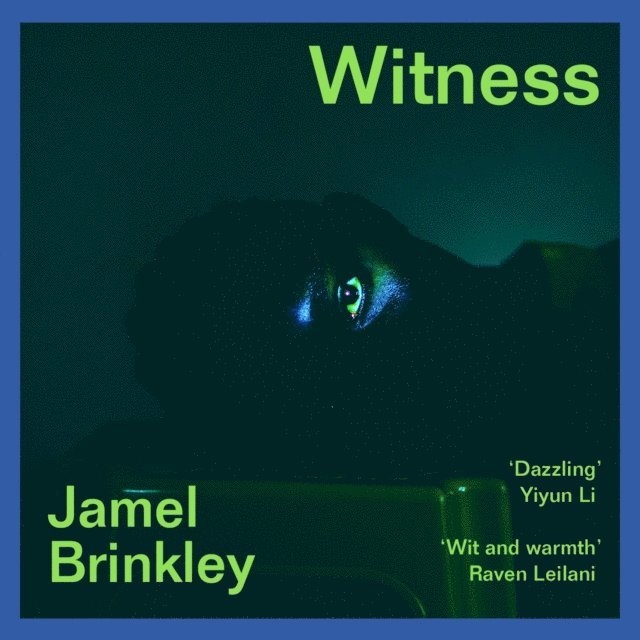 Jamel Brinkley - Witness, Ljudbok