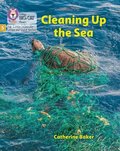Cleaning up the Sea
