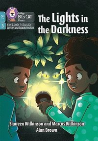 Lights in the Darkness