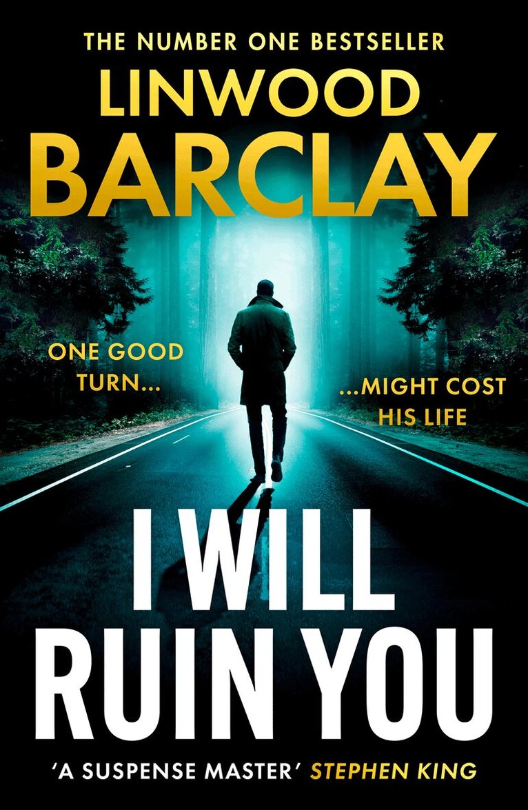 Linwood Barclay - I Will Ruin You, E-bok