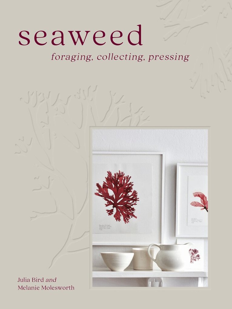 Melanie Molesworth, Julia Bird - Seaweed, E-bok