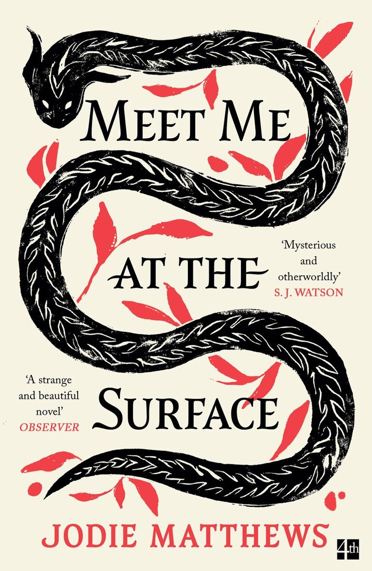 Jodie Matthews - Meet Me at the Surface, E-bok