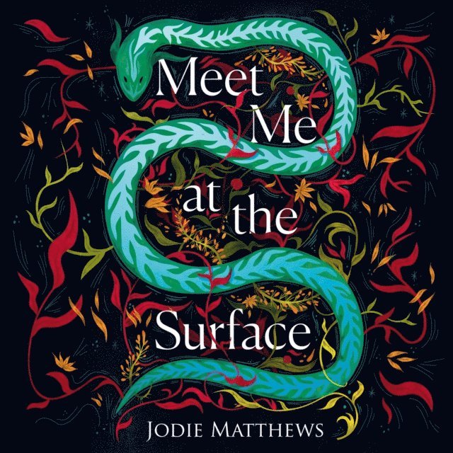 Jodie Matthews - Meet Me at the Surface, Ljudbok