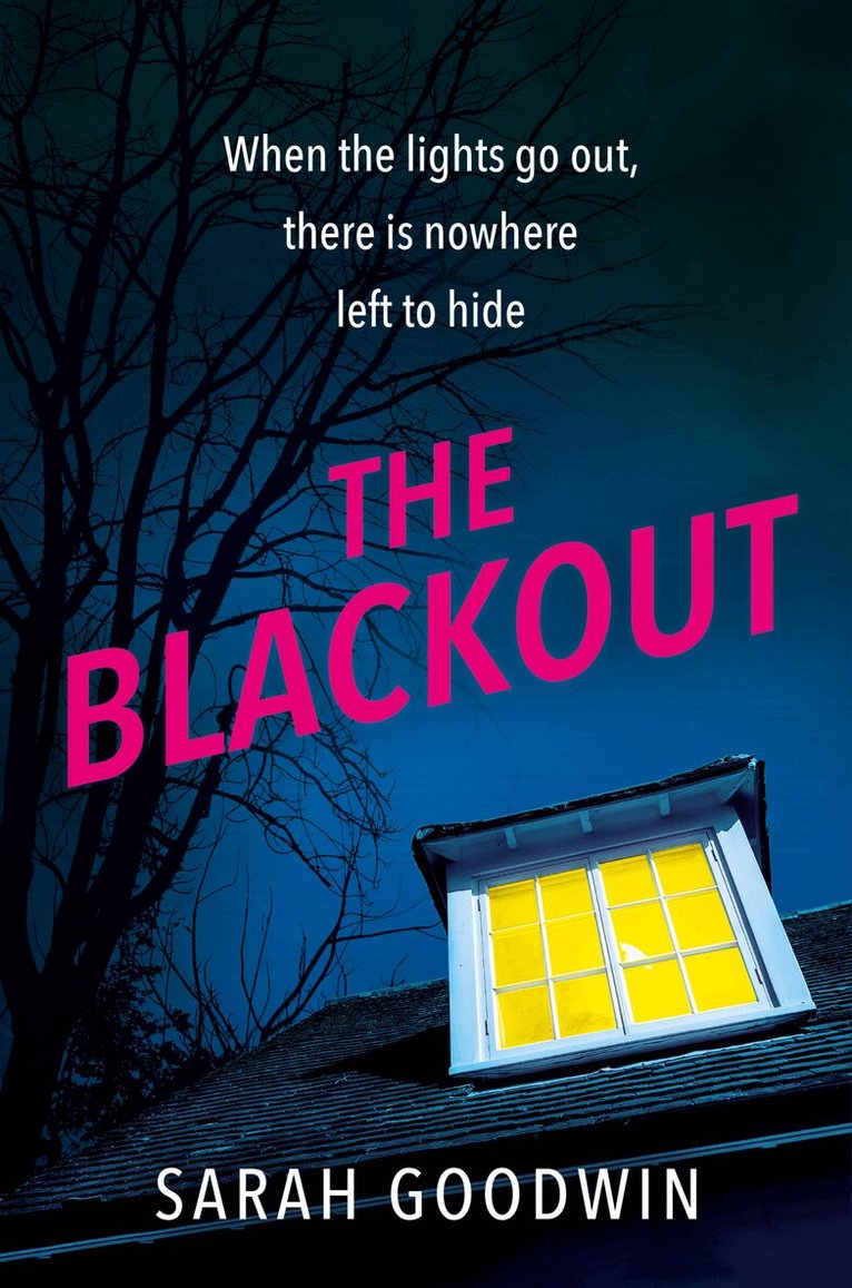 Sarah Goodwin - Blackout, E-bok