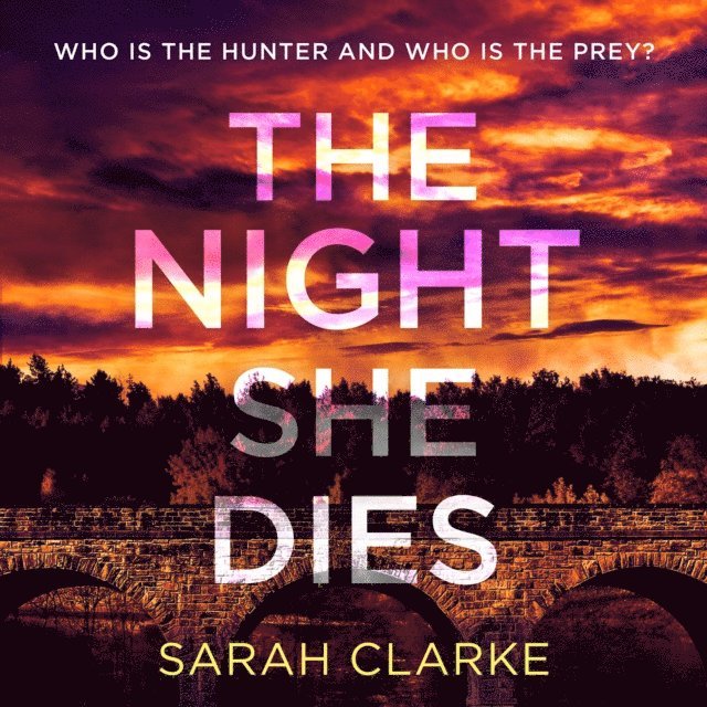 Sarah Clarke - Night She Dies, Ljudbok