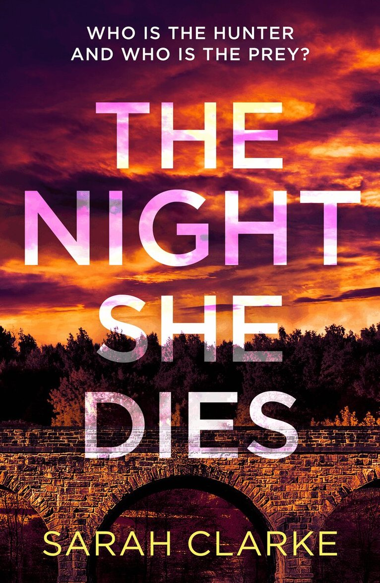 Sarah Clarke - Night She Dies, E-bok