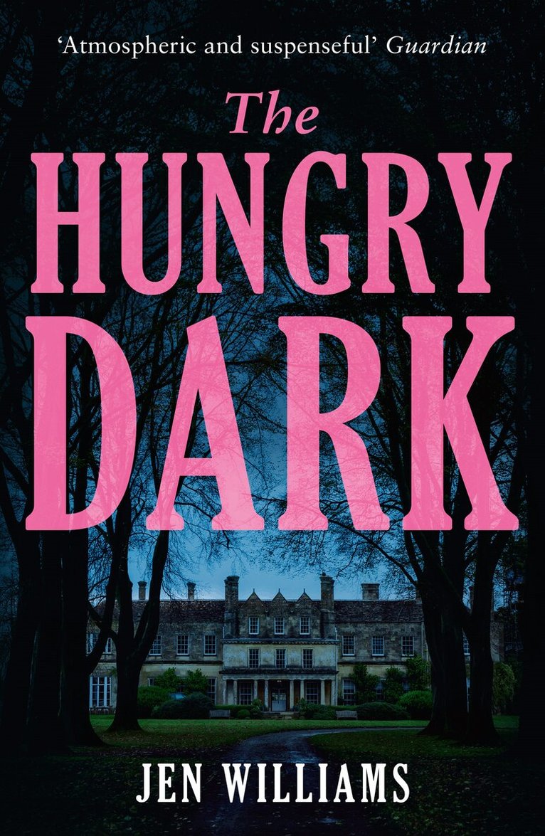 Jen Williams - Hungry Dark, E-bok