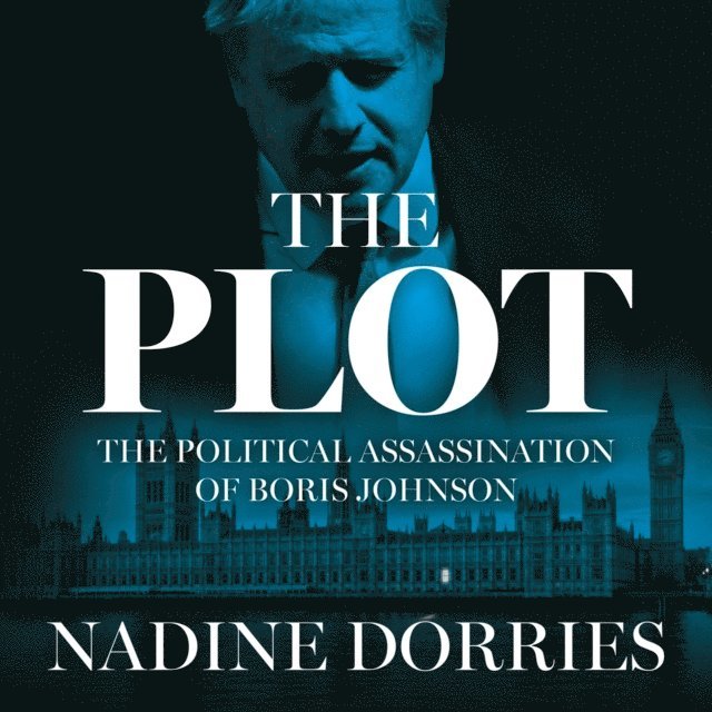 Nadine Dorries - Plot, Ljudbok