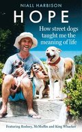 Hope - How Street Dogs Taught Me The Meaning Of Life