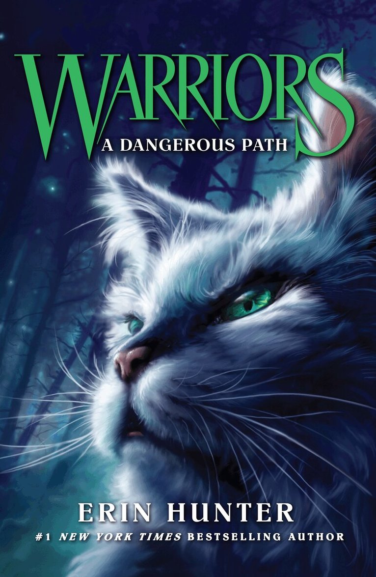 Erin Hunter - Dangerous Path, E-bok