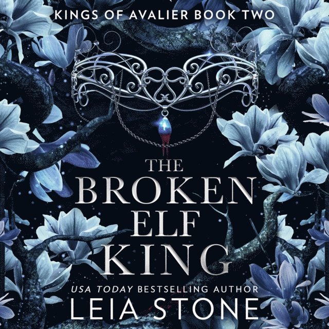 Leia Stone - Broken Elf King, Ljudbok