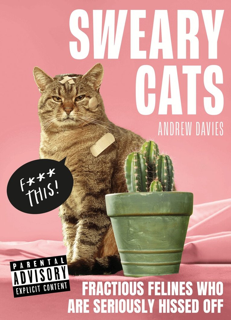 Andrew Davies - Sweary Cats, E-bok
