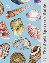 The Shell Spotters Guide