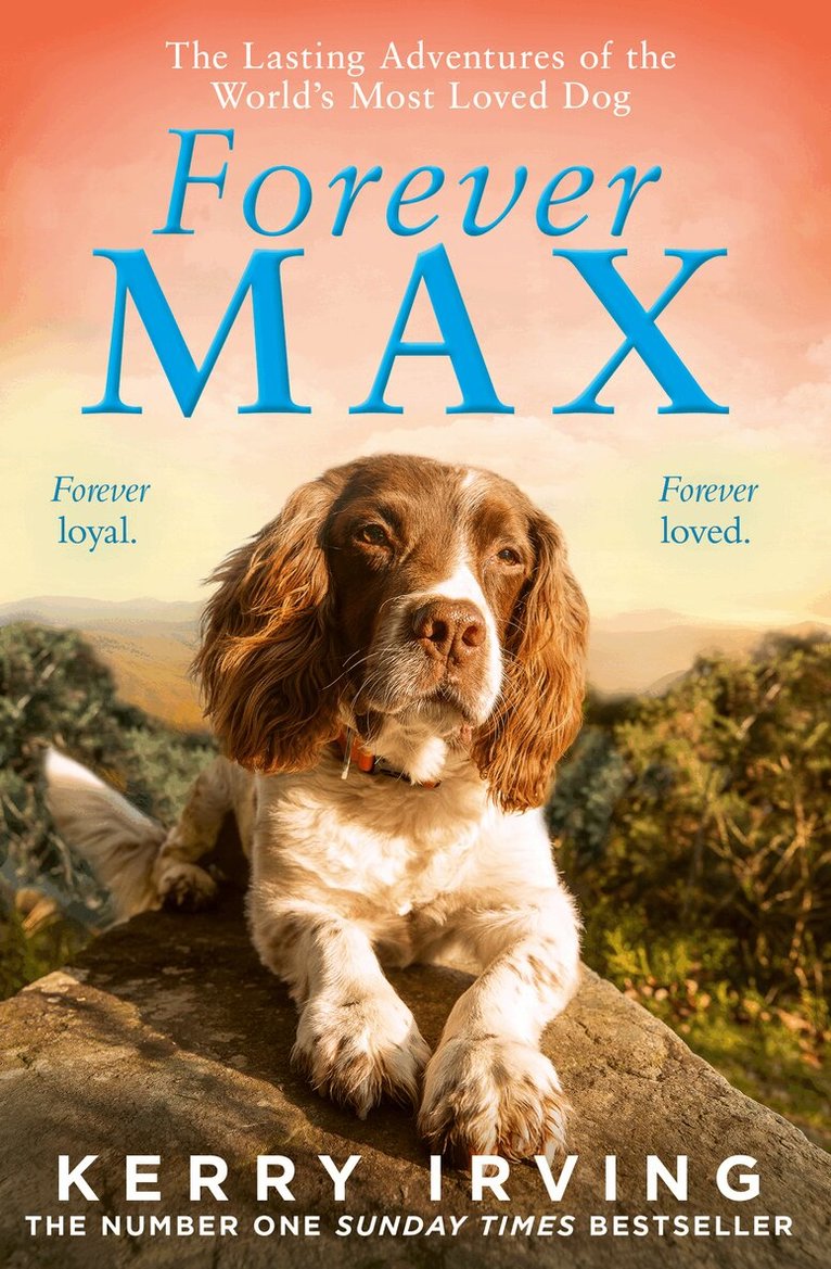Kerry Irving - Forever Max, E-bok
