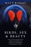 Birds, Sex and Beauty