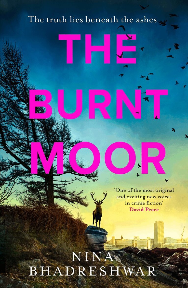 Nina Bhadreshwar - Burnt Moor, E-bok