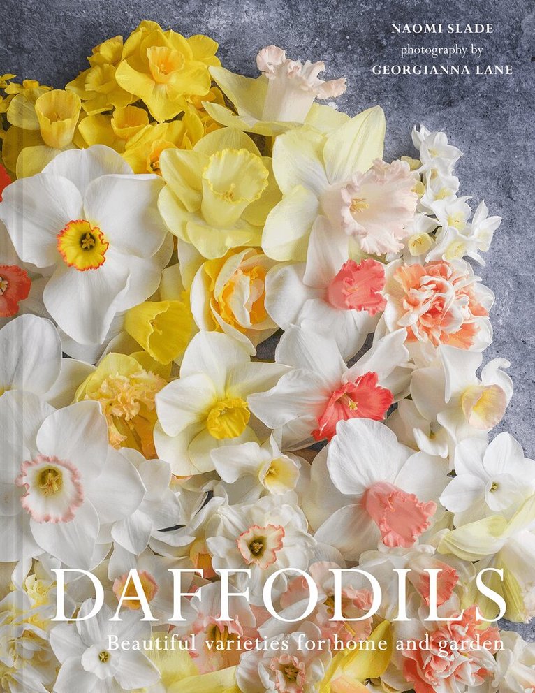 Naomi Slade, Georgianna Lane - Daffodils, E-bok