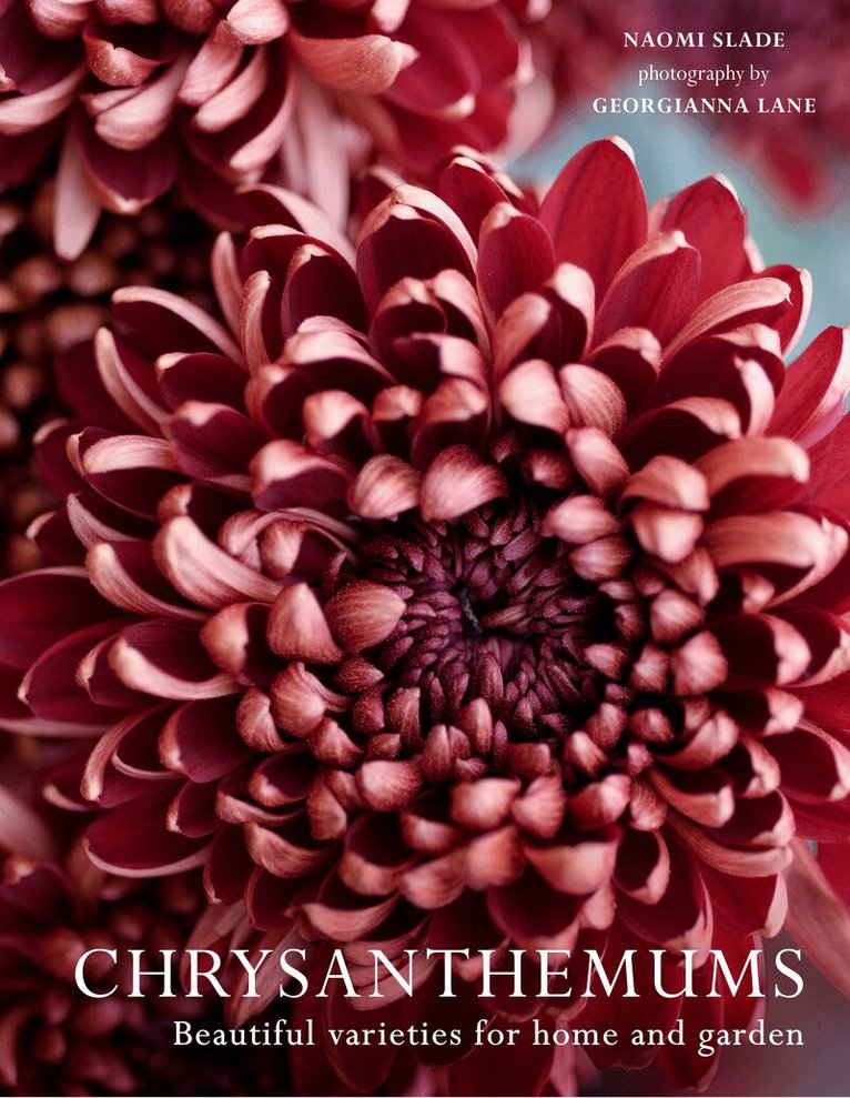 Naomi Slade, Georgianna Lane - Chrysanthemums, E-bok