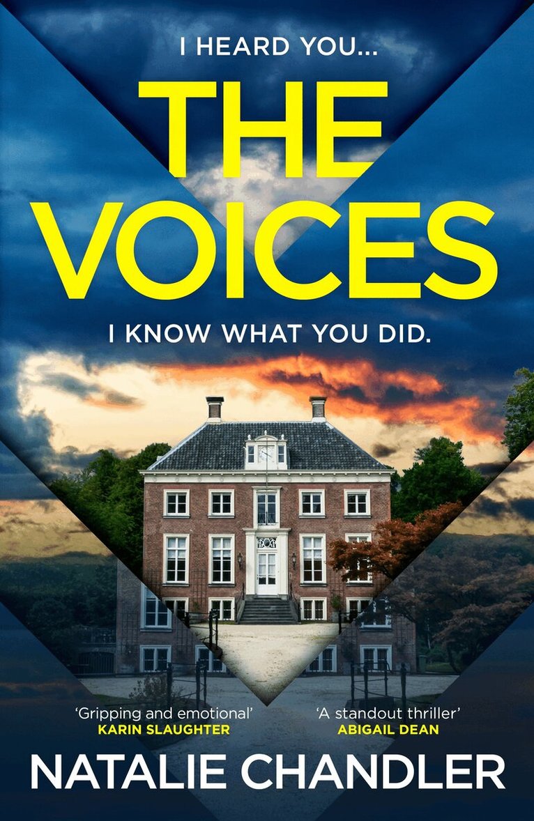 Natalie Chandler - Voices, E-bok