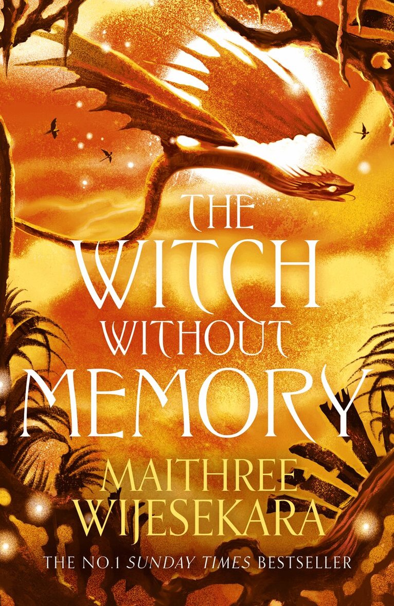 Maithree Wijesekara - Witch Without Memory, Häftad