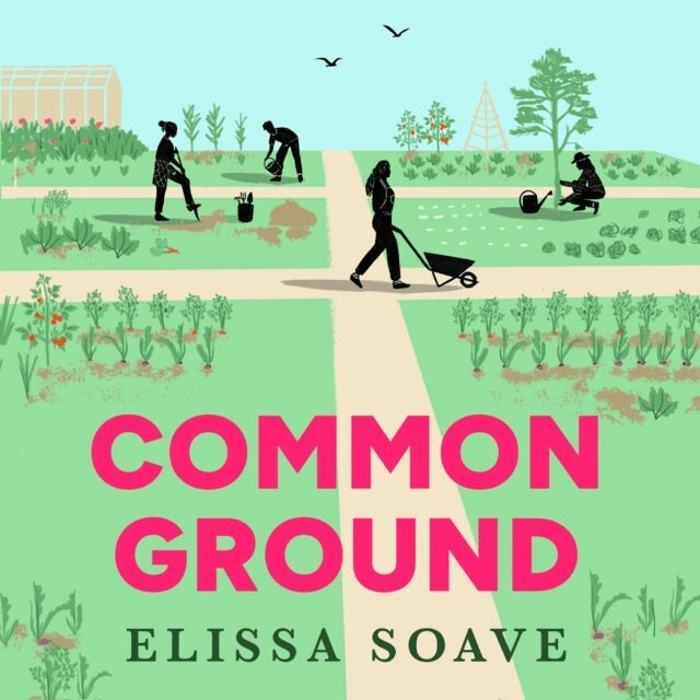 Elissa Soave - Common Ground, Ljudbok
