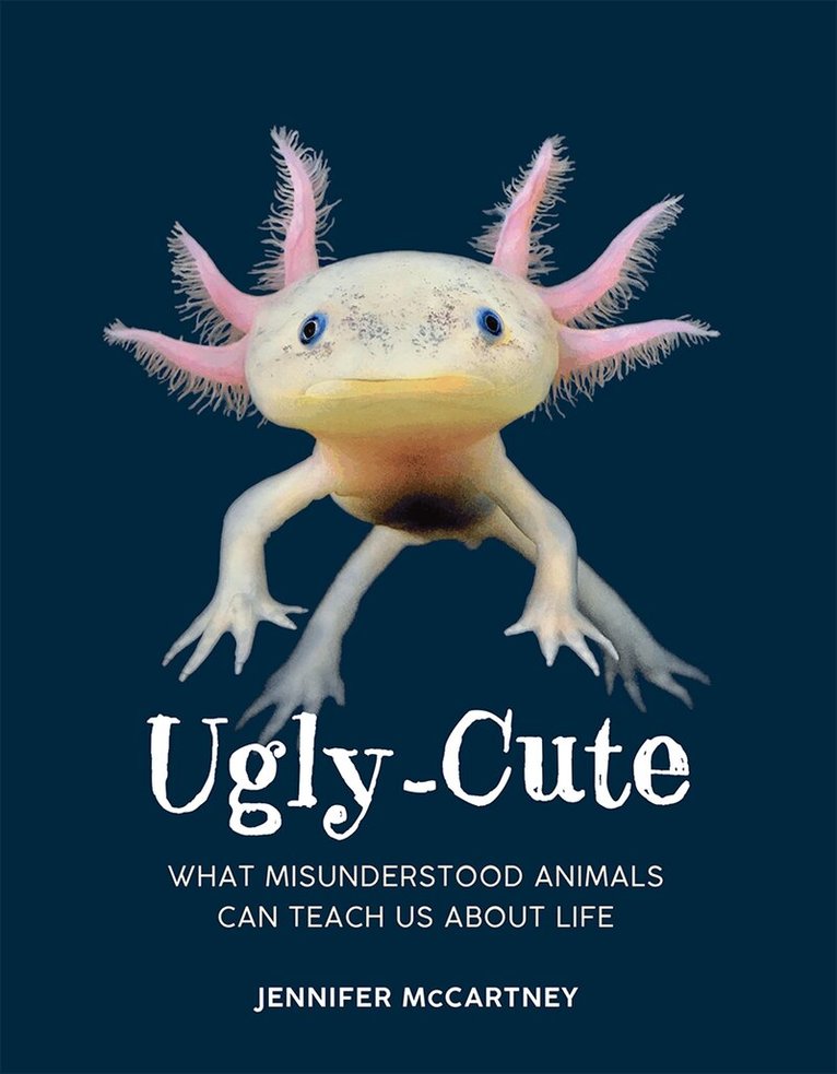 Jennifer McCartney - Ugly-Cute, E-bok