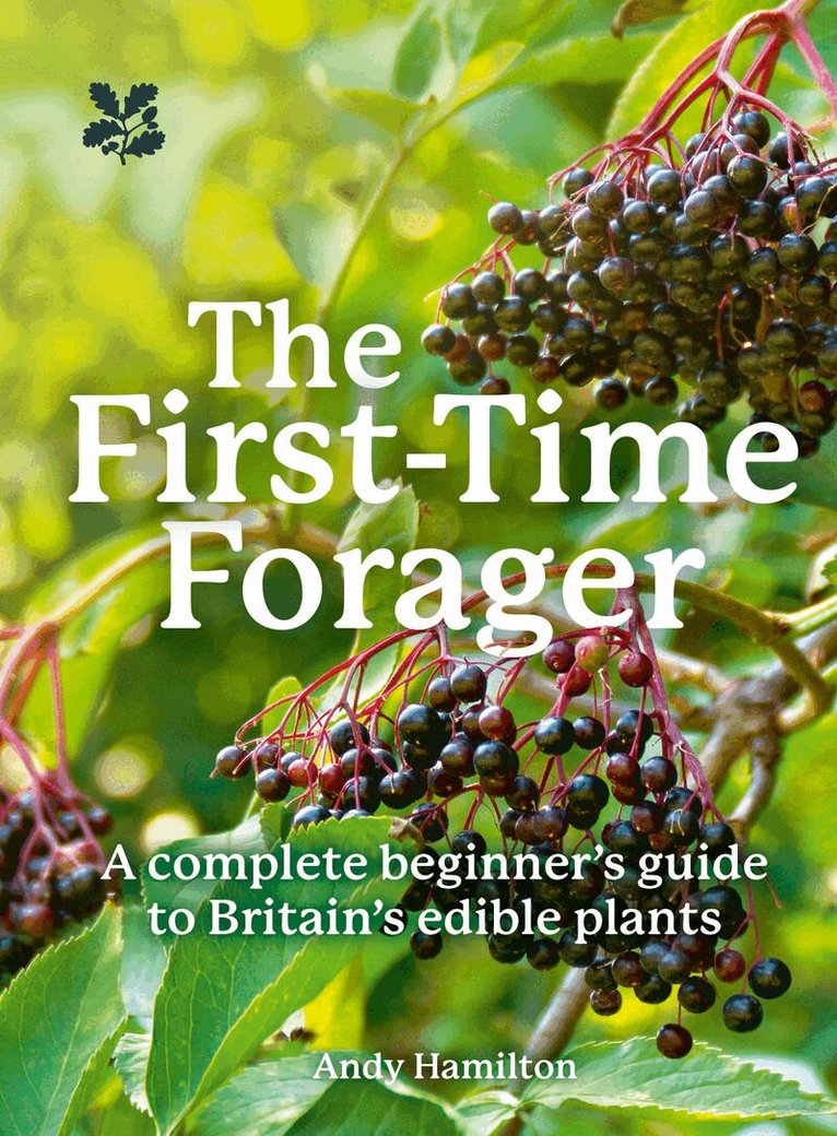 Andy Hamilton - First-Time Forager, E-bok