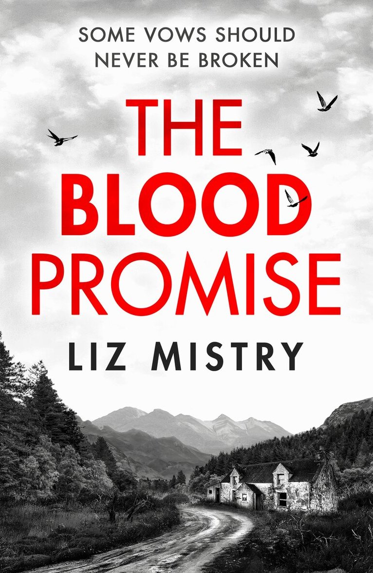 Liz Mistry - Blood Promise, E-bok