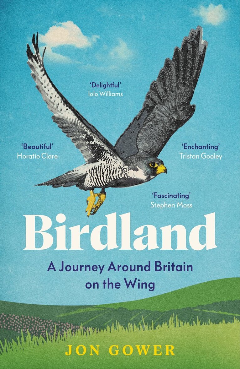 Jon Gower - Birdland, E-bok