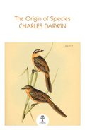 Origin of Species