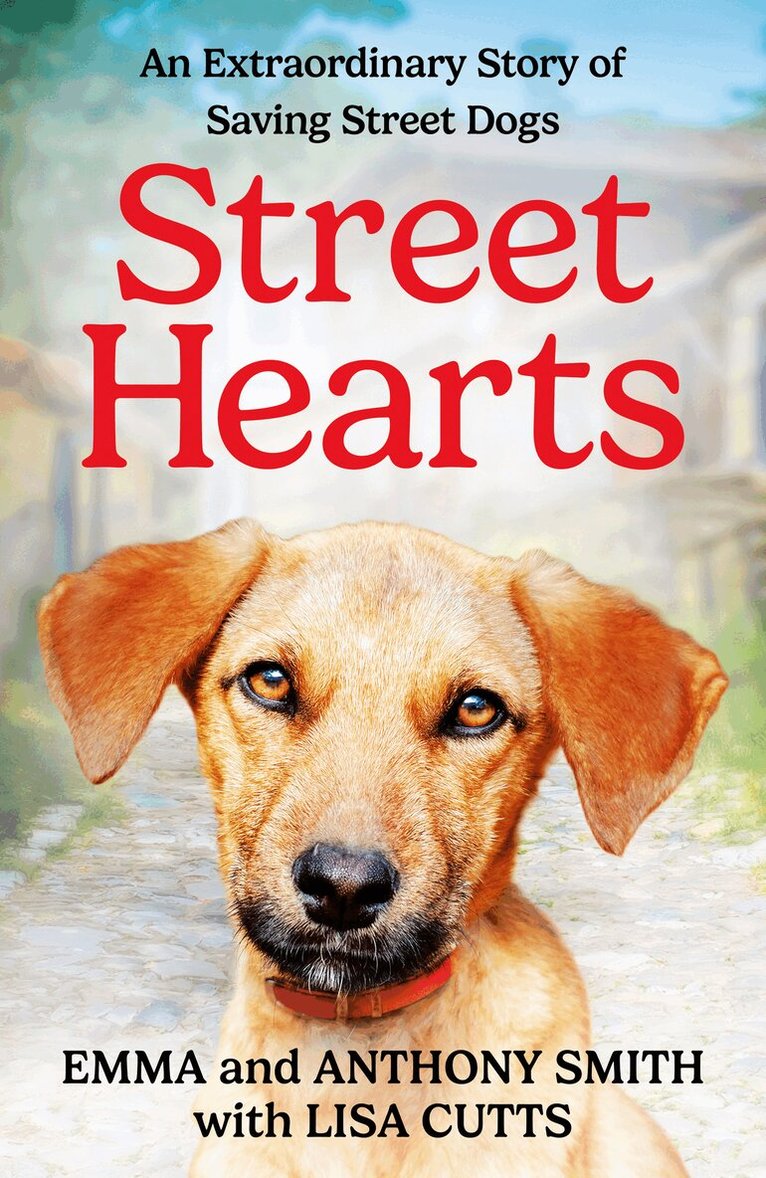 Emma Smith, Anthony Smith - Street Hearts, E-bok