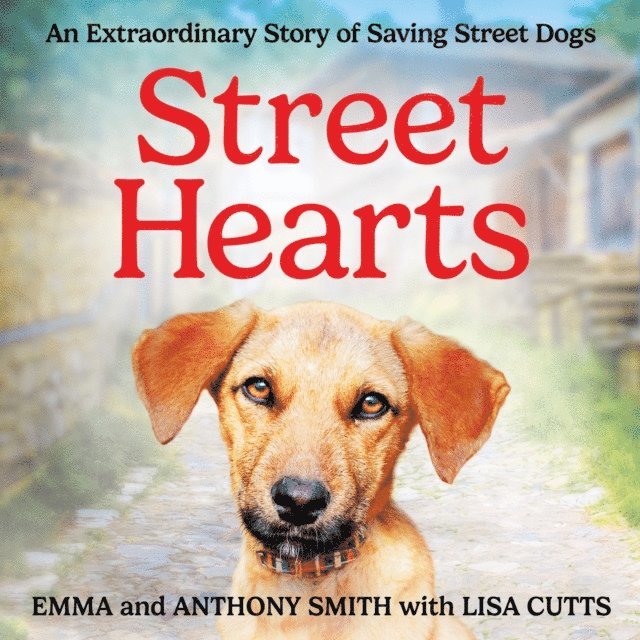 Anthony Smith, Emma Smith - Street Hearts, Ljudbok