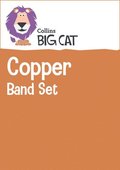 COPPER BAND SET_BIG CAT SETS