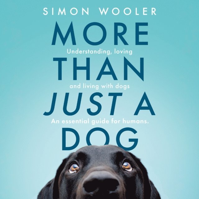 Simon Wooler - More Than Just a Dog, Ljudbok